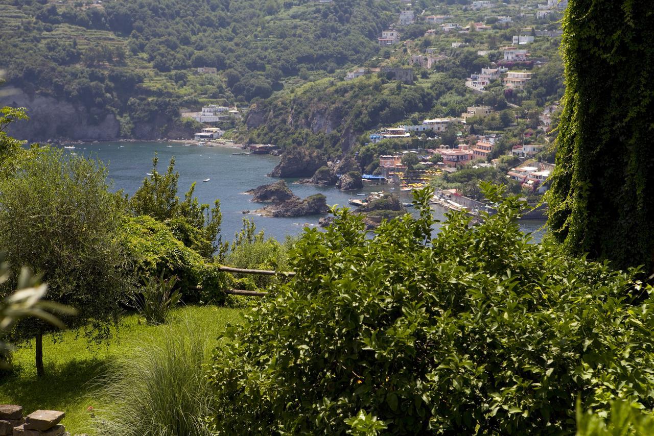 Albergo Il Monastero Ischia Kültér fotó